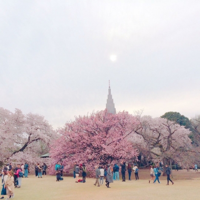 新宿御苑.jpg